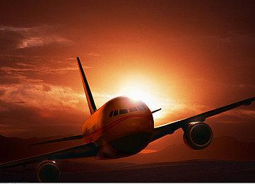 《仙子胡萝卜》Steam页面上线 创意动作潜行冒险